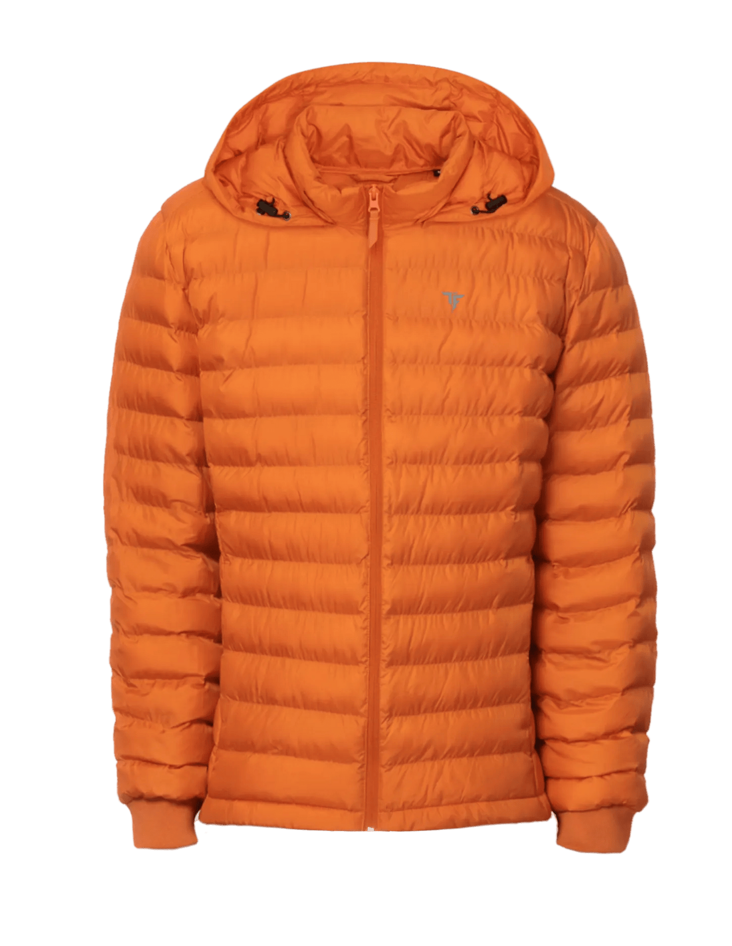 PADDED JACKET - Women - THE FORCE SPORT