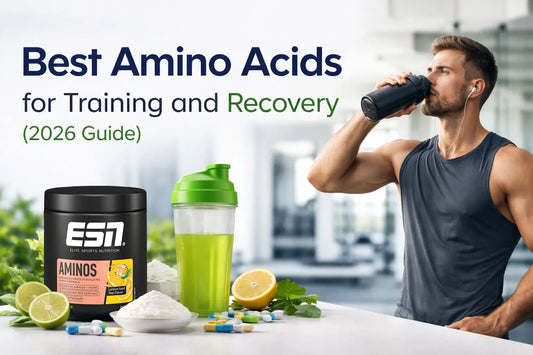 Best Amino Acids for Training and Recovery