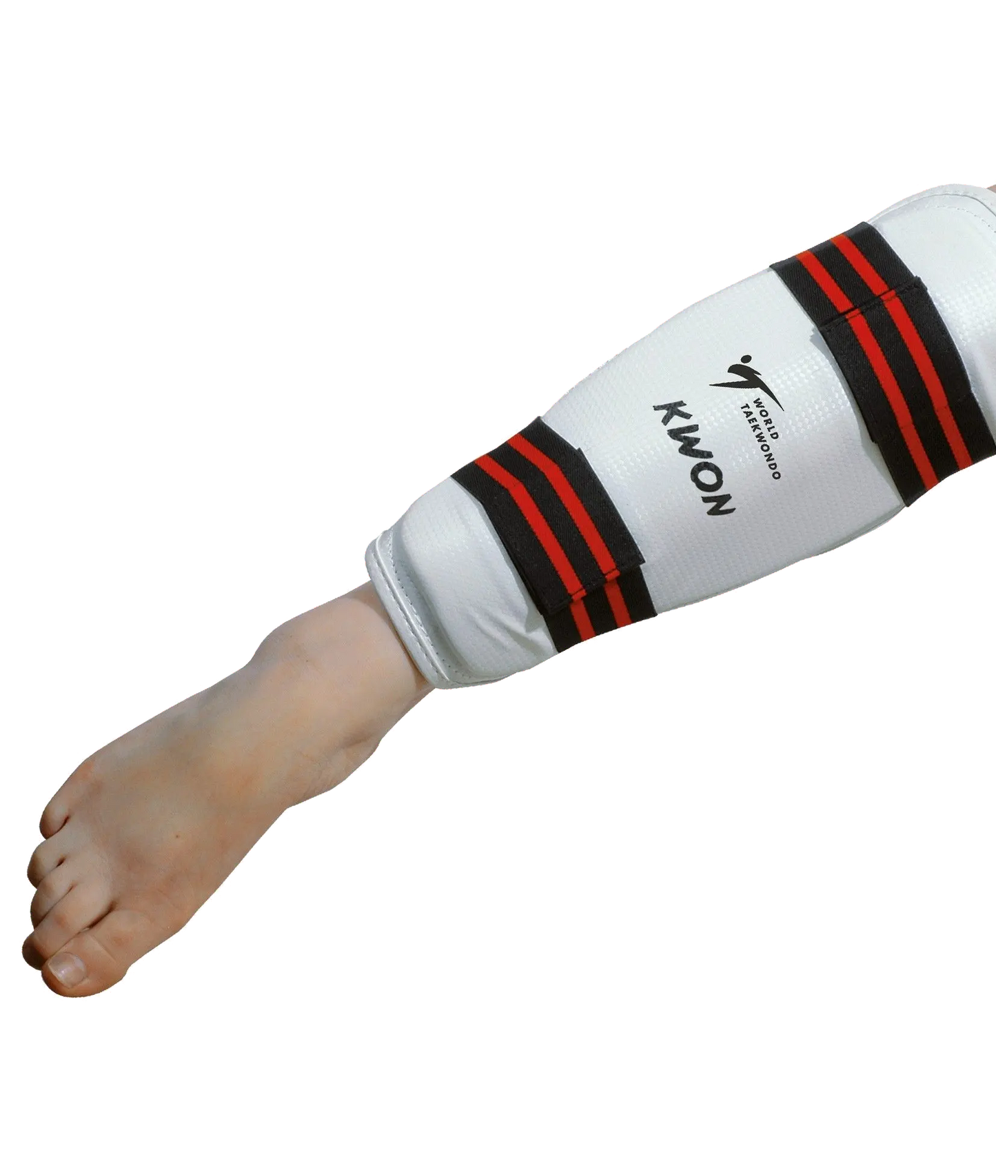 Shin guard Evolution - WT recognized