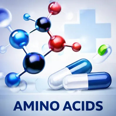 Aminosäuren Sporternährung Supplements für Muskelaufbau und Regeneration