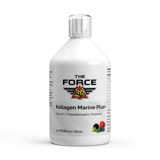 Kollagen Marine Plus+ - 50 Shots - Wildbeere - 500ml - THE FORCE SPORT