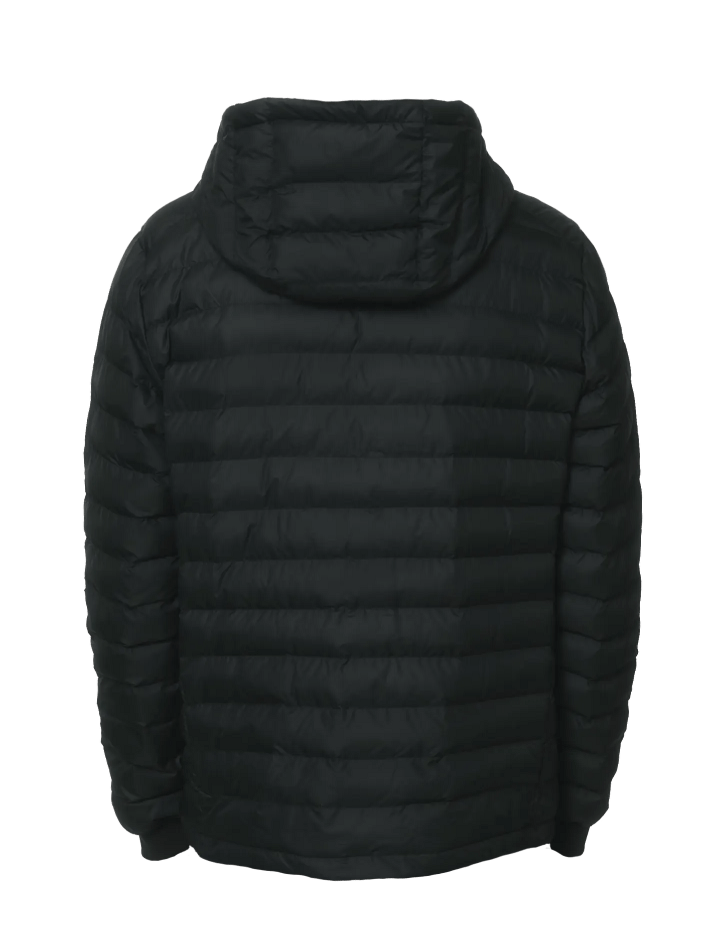 PADDED JACKET - THE FORCE SPORT