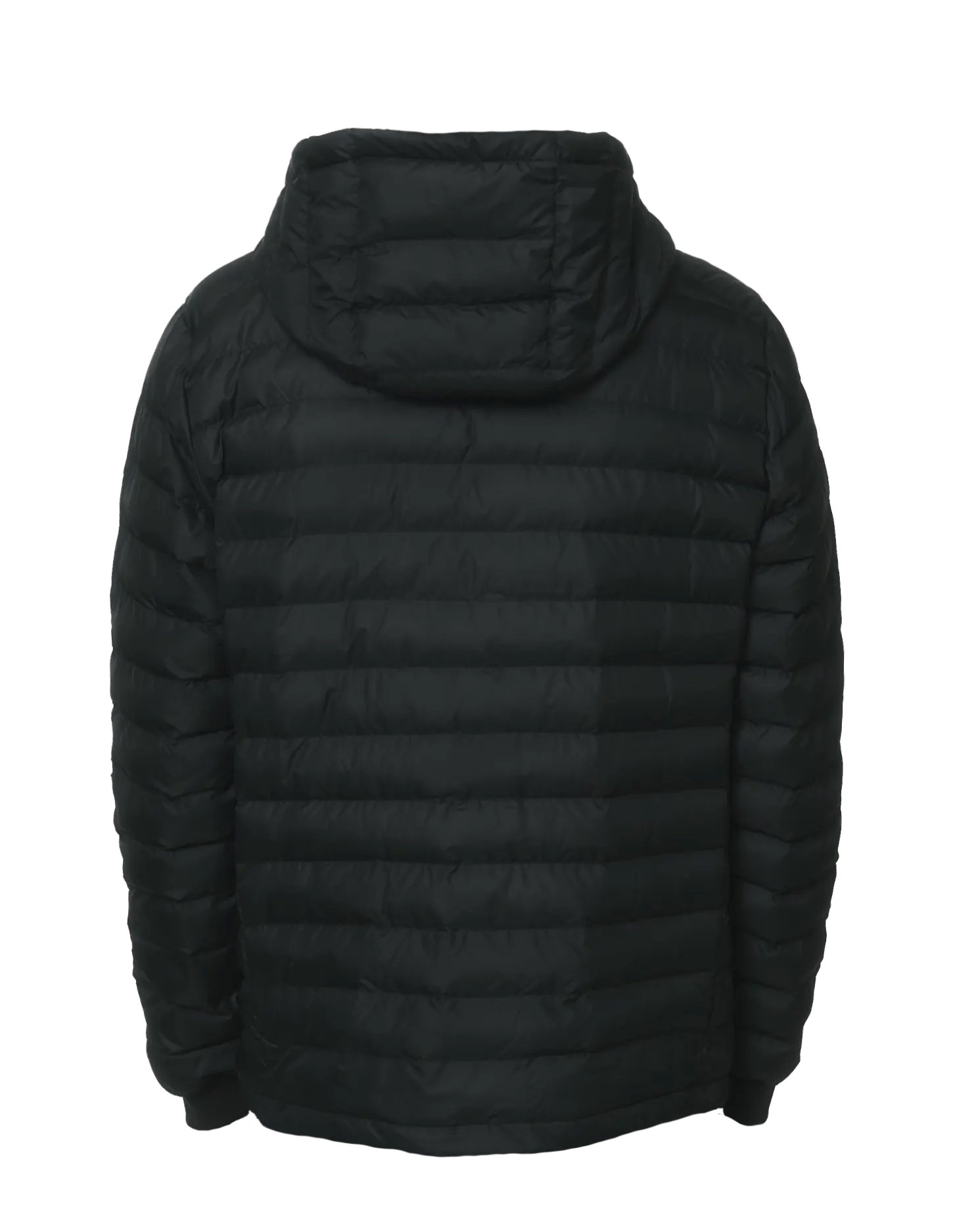 PADDED JACKET - THE FORCE SPORT